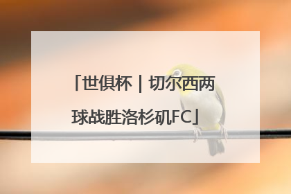 世俱杯｜切尔西两球战胜洛杉矶FC