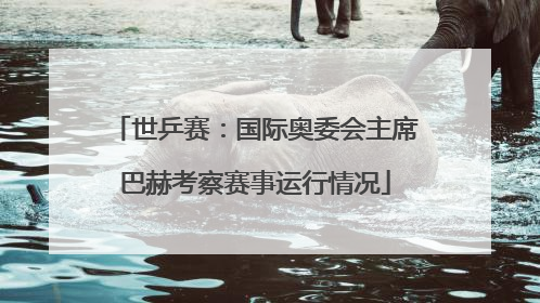世乒赛：国际奥委会主席巴赫考察赛事运行情况