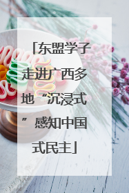 东盟学子走进广西多地“沉浸式”感知中国式民主