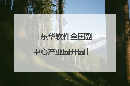 东华软件全国副中心产业园开园