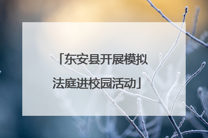东安县开展模拟法庭进校园活动