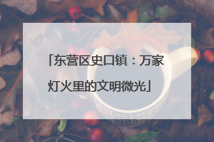 东营区史口镇：万家灯火里的文明微光