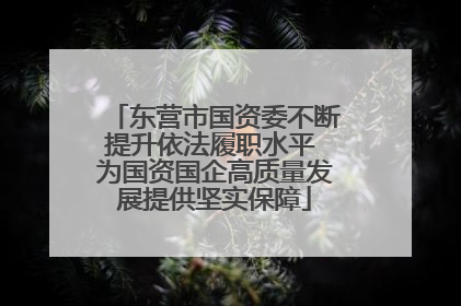 东营市国资委不断提升依法履职水平 为国资国企高质量发展提供坚实保障