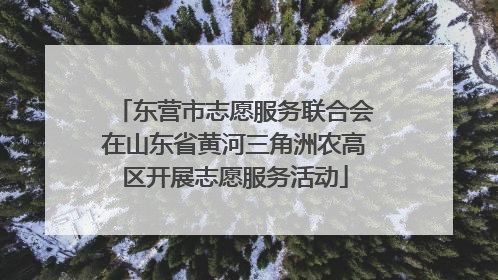 东营市志愿服务联合会在山东省黄河三角洲农高区开展志愿服务活动