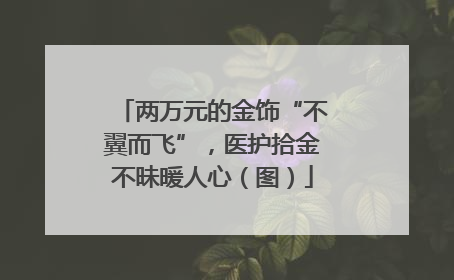 两万元的金饰“不翼而飞”，医护拾金不昧暖人心（图）