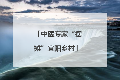 中医专家“摆摊”宜阳乡村