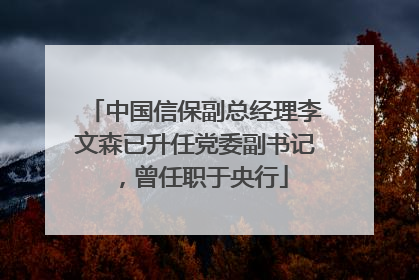 中国信保副总经理李文森已升任党委副书记，曾任职于央行