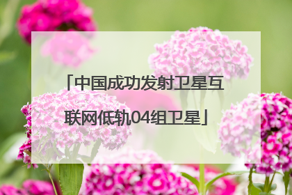 中国成功发射卫星互联网低轨04组卫星