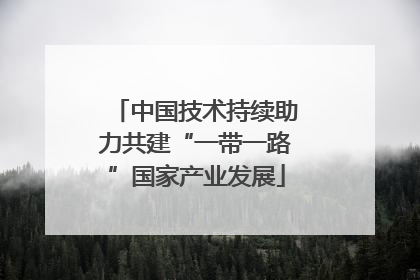 中国技术持续助力共建“一带一路”国家产业发展