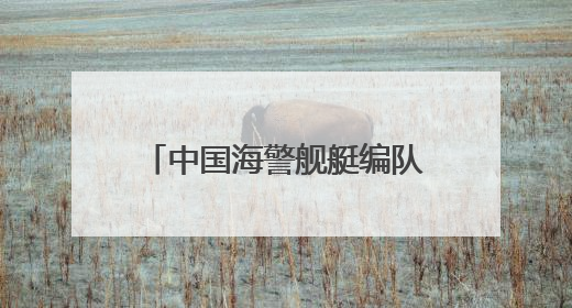 中国海警舰艇编队在钓鱼岛领海巡航