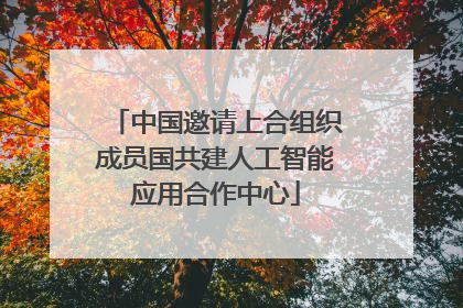 中国邀请上合组织成员国共建人工智能应用合作中心