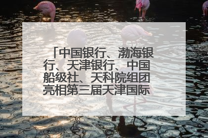中国银行、渤海银行、天津银行、中国船级社、天科院组团亮相第三届天津国际航运展 输出航运服务“中国方案”
