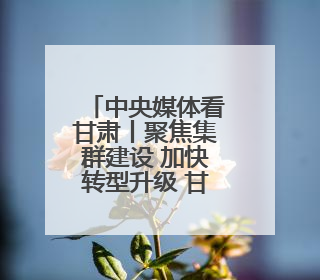 中央媒体看甘肃丨聚焦集群建设 加快转型升级 甘肃支柱产业增势强劲