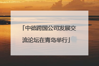 中德跨国公司发展交流论坛在青岛举行