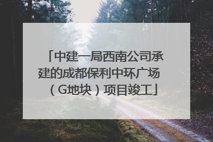 中建一局西南公司承建的成都保利中环广场（G地块）项目竣工