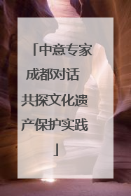 中意专家成都对话 共探文化遗产保护实践