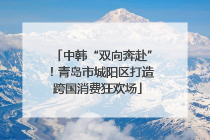 中韩“双向奔赴”！青岛市城阳区打造跨国消费狂欢场