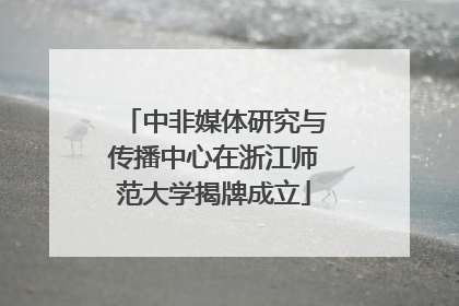 中非媒体研究与传播中心在浙江师范大学揭牌成立