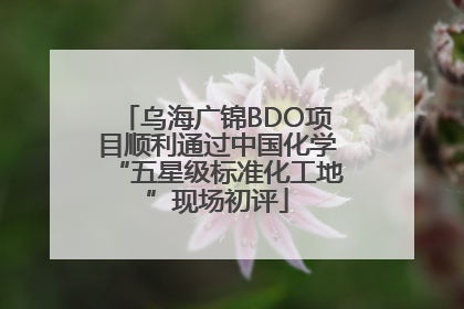 乌海广锦BDO项目顺利通过中国化学“五星级标准化工地”现场初评