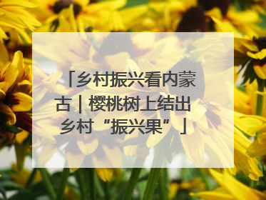 乡村振兴看内蒙古｜樱桃树上结出乡村“振兴果”
