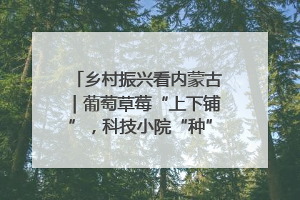 乡村振兴看内蒙古｜葡萄草莓“上下铺”，科技小院“种”出三倍效益