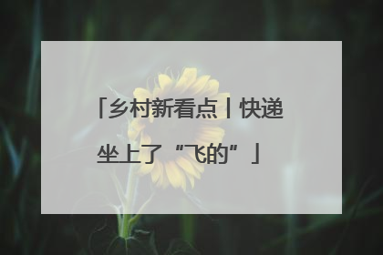 乡村新看点丨快递坐上了“飞的”