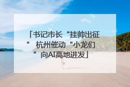 书记市长“挂帅出征” 杭州催动“小龙们”向AI高地进发