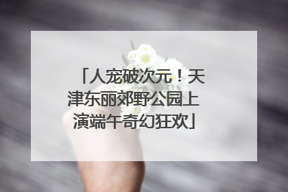 人宠破次元！天津东丽郊野公园上演端午奇幻狂欢
