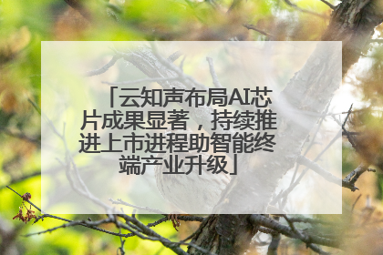 云知声布局AI芯片成果显著，持续推进上市进程助智能终端产业升级