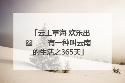 云上草海 欢乐出圈——有一种叫云南的生活之365天