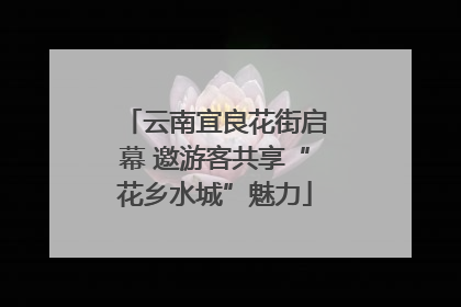 云南宜良花街启幕 邀游客共享“花乡水城”魅力