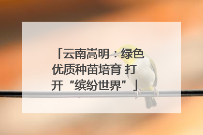 云南嵩明：绿色优质种苗培育 打开“缤纷世界”