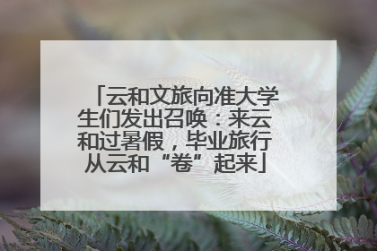 云和文旅向准大学生们发出召唤：来云和过暑假，毕业旅行从云和“卷”起来