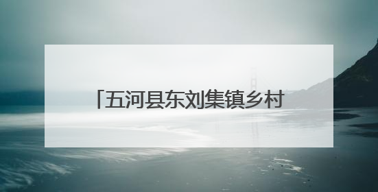 五河县东刘集镇乡村振兴添“金羽” “鸽”声叫响致富路