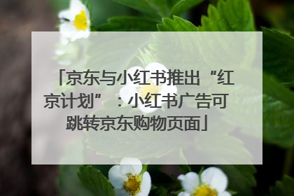 京东与小红书推出“红京计划”：小红书广告可跳转京东购物页面