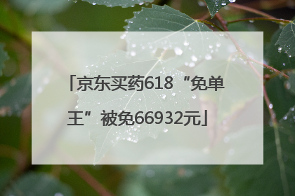 京东买药618“免单王”被免66932元