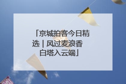京城拍客今日精选｜风过麦浪香 白塔入云端