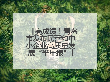 亮成绩！青岛市发布民营和中小企业高质量发展“半年报”