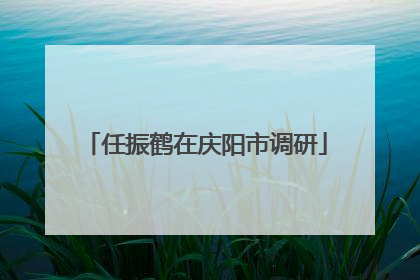 任振鹤在庆阳市调研