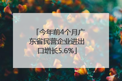 今年前4个月广东省民营企业进出口增长5.6%