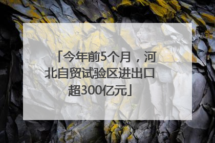 今年前5个月，河北自贸试验区进出口超300亿元