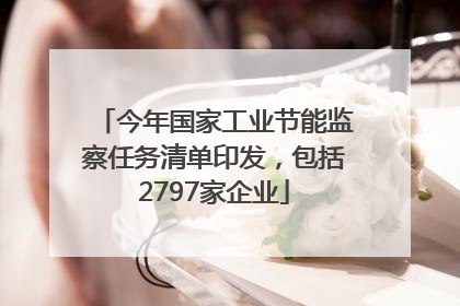 今年国家工业节能监察任务清单印发，包括2797家企业