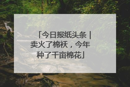 今日报纸头条｜卖火了棉袄，今年种了千亩棉花