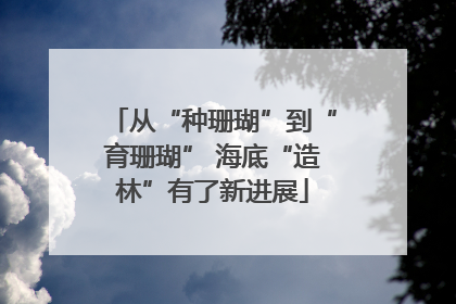从“种珊瑚”到“育珊瑚” 海底“造林”有了新进展