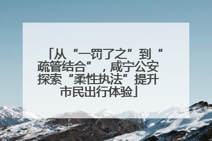 从“一罚了之”到“疏管结合”，咸宁公安探索“柔性执法”提升市民出行体验