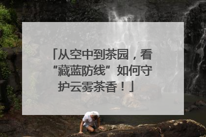 从空中到茶园，看“藏蓝防线”如何守护云雾茶香！