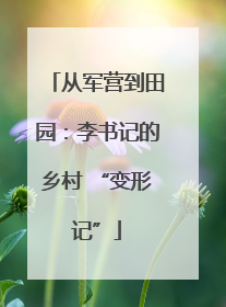 从军营到田园：李书记的乡村 “变形记”
