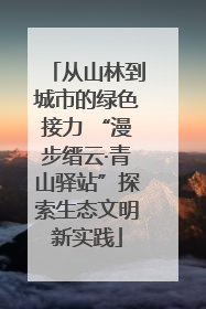 从山林到城市的绿色接力 “漫步缙云·青山驿站”探索生态文明新实践