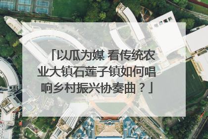 以瓜为媒 看传统农业大镇石莲子镇如何唱响乡村振兴协奏曲？