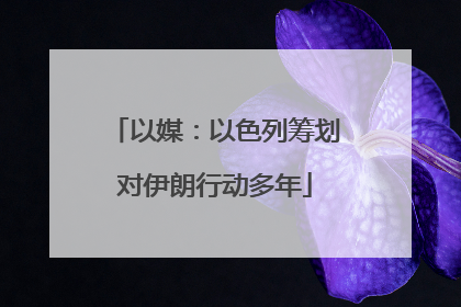 以媒：以色列筹划对伊朗行动多年
